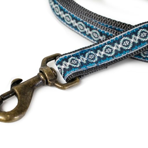 Pendleton Pet Leash - Papago Park