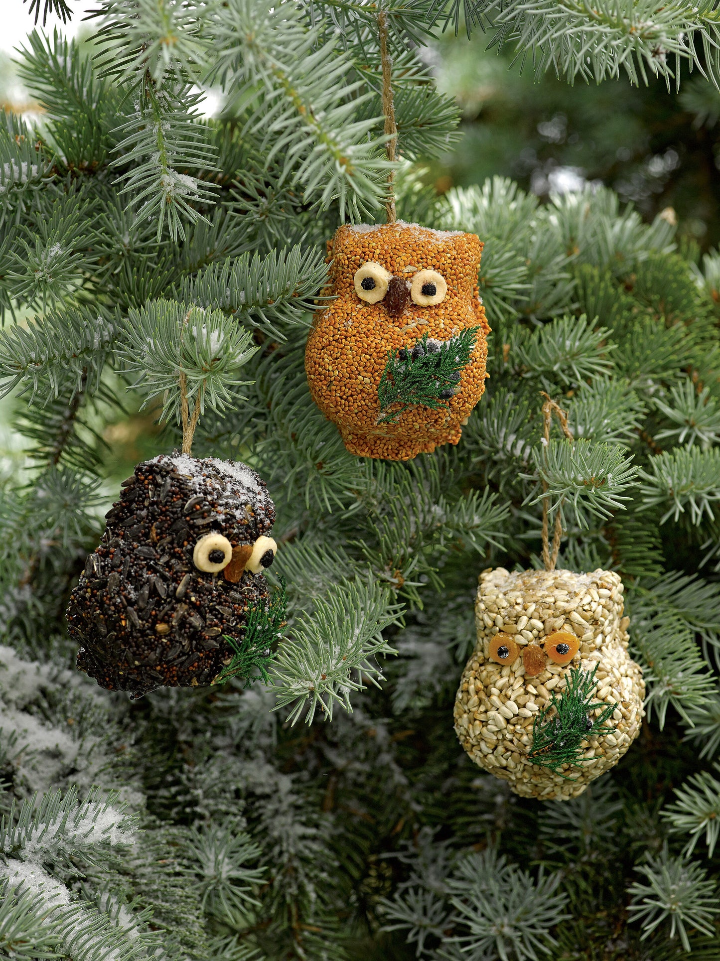 Ollie Owl 3pack Bird Seed Set
