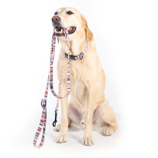 Pendleton Pet Adventure Leash - Tamiami