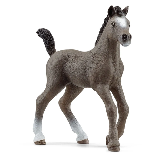 Cheval de Selle Français Foal Figurine