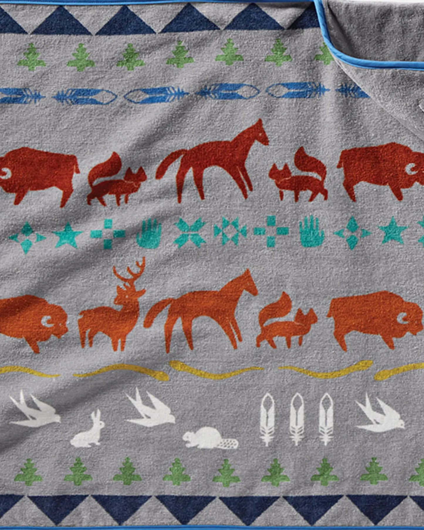 Shared Paths Hooded Baby Towel