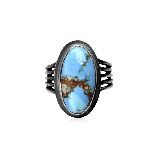Oval Golden Hill Turquoise Smooth Bezel Ring by Gilbert Platero