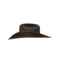 Charlie 1 Horse "The Cowgirl" Hat