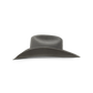 Charlie 1 Horse "The Cowgirl" Hat