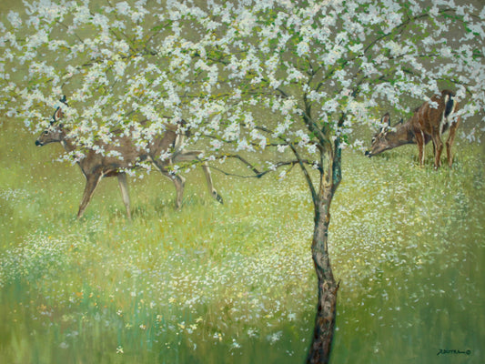 "Deer Blossoms" by Randal M. Dutra