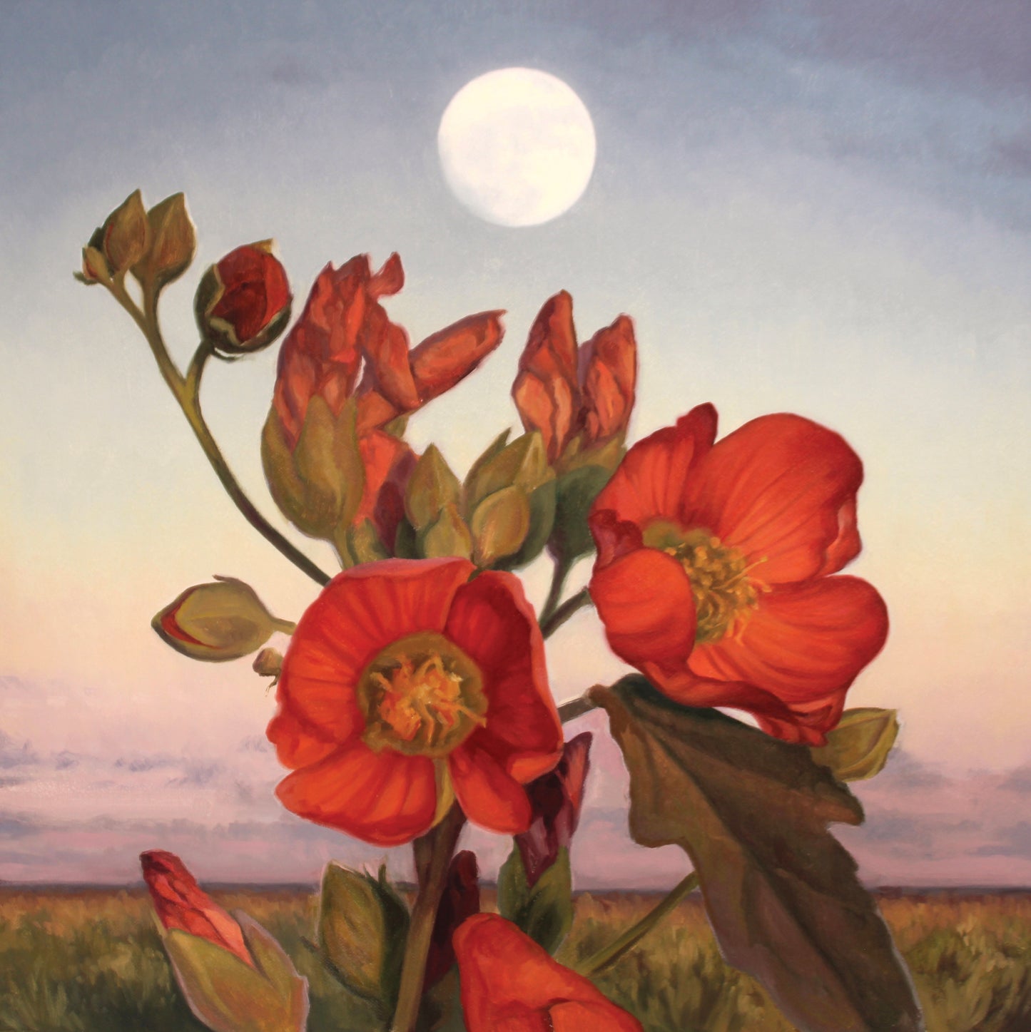 Mallow of Eldorado - #64