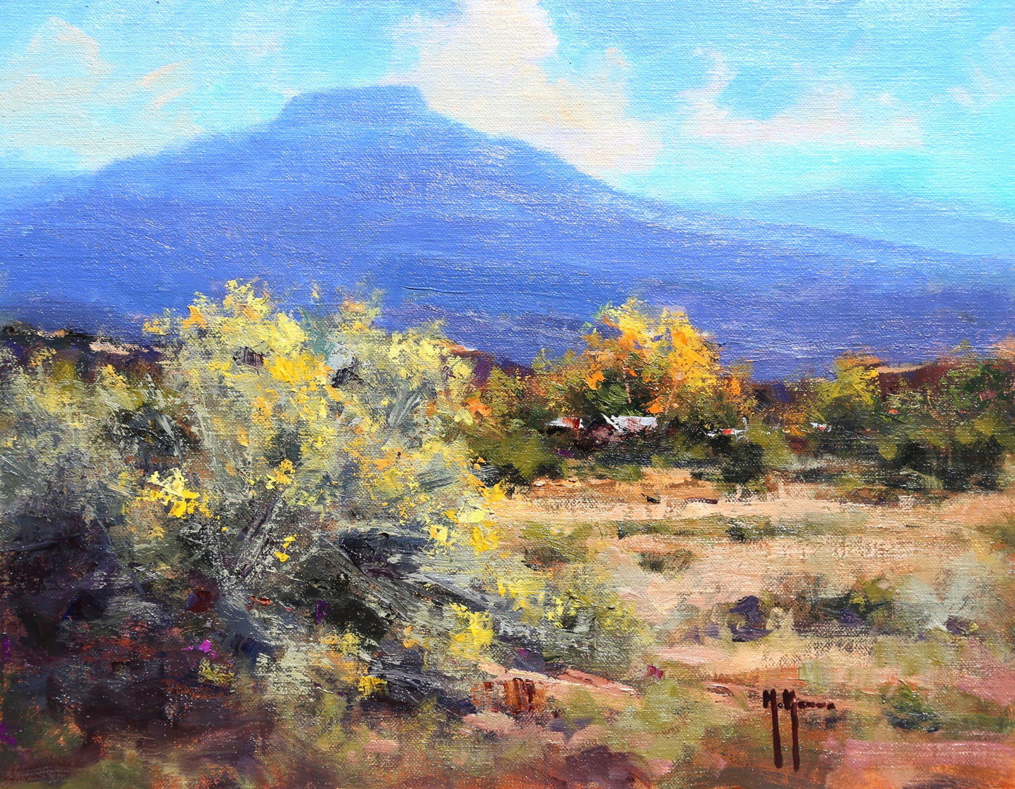 Pedernal Mesa - #141