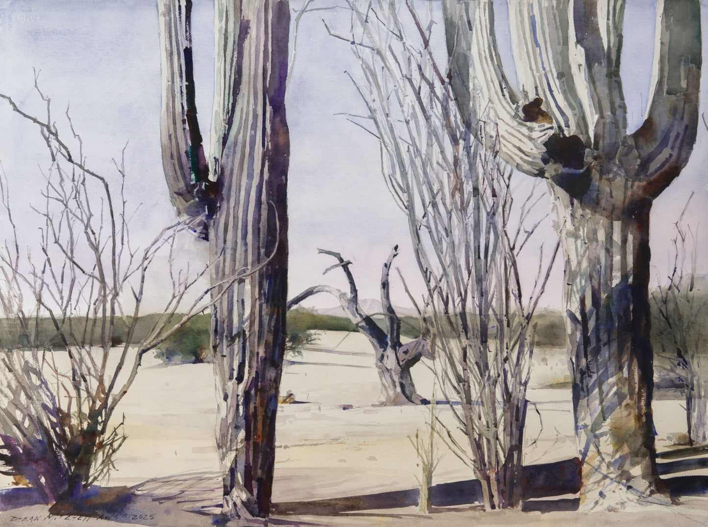 Cactus Jungle by Dean Mitchell - #179