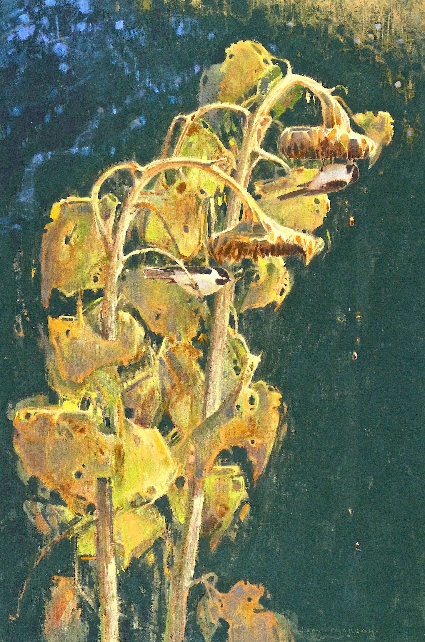 "The Seed Store" by James Morgan
