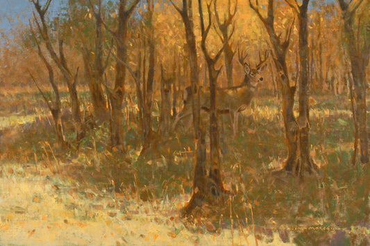 "Dappled" by James Morgan