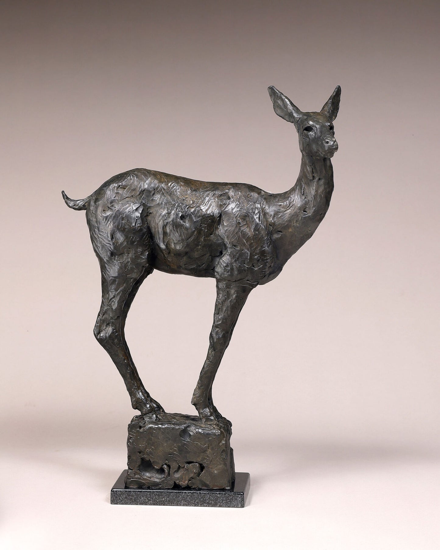 Inquisitive Doe by Dan Ostermiller - #210