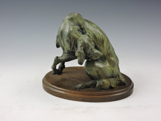 Old Dog Looking Back - #198