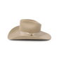 Stetson Enigma Wool Felt Western Hat