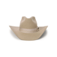 Stetson Enigma Wool Felt Western Hat