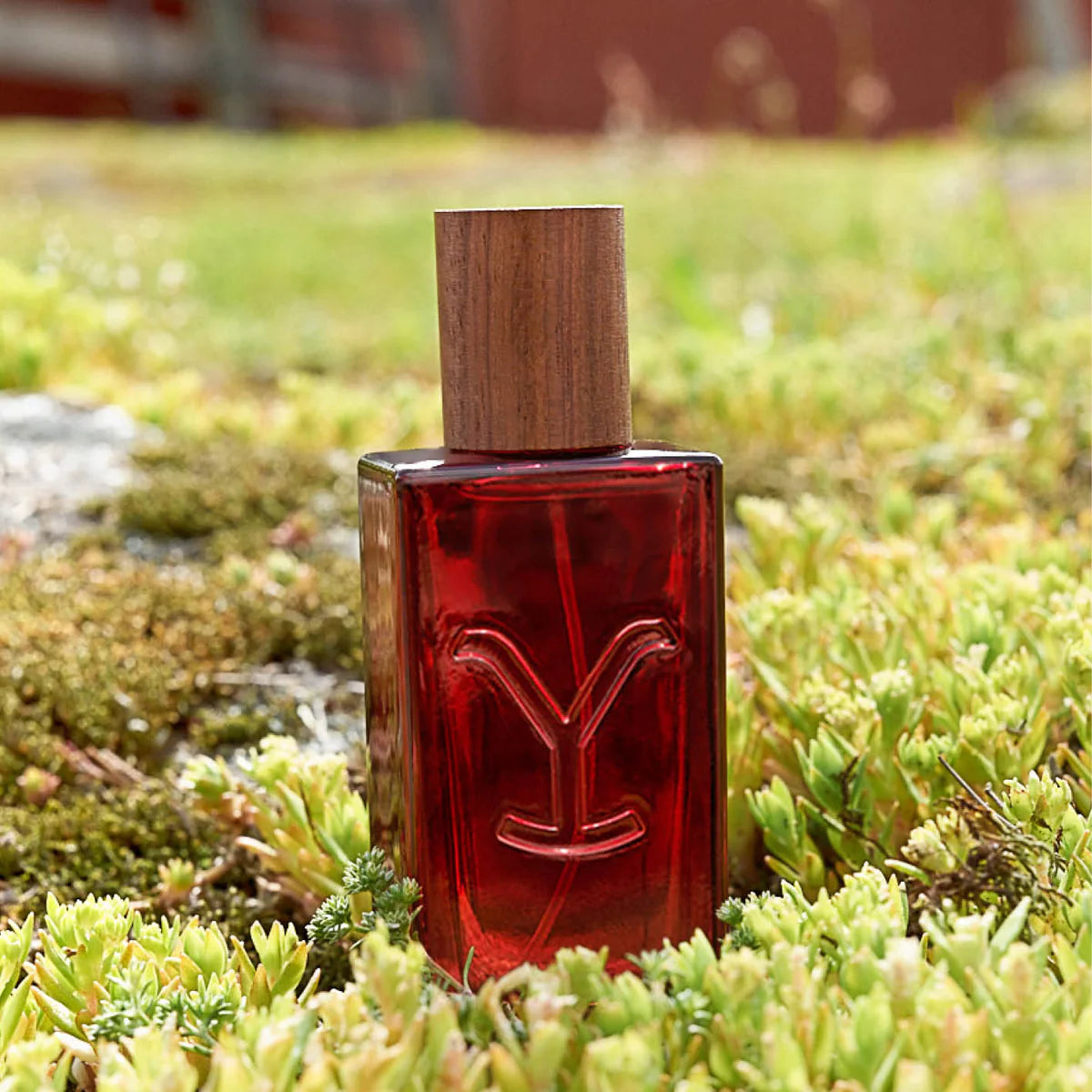 Tru Western Yellowstone Tornado Eau de Parfum 1.7 oz.