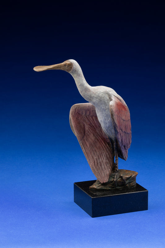 "Roseate Spoonbill" by Kent Ullberg