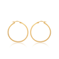 Christina Greene Matte Hoop Earrings