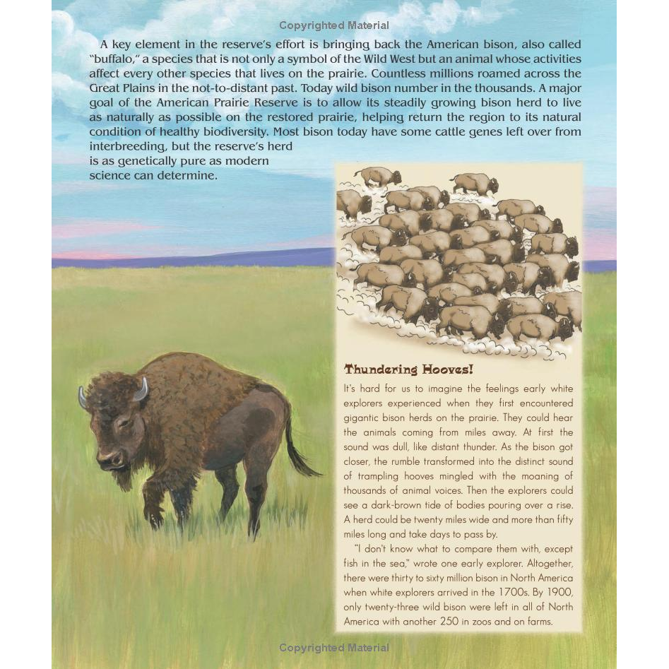 Camas & Sage: A Story of Bison Life on the Prairie by Dorothy Hinshaw Patent