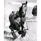 The Texas Cowboy Cookbook: A History in Recipes and Photos by Robb Walsh