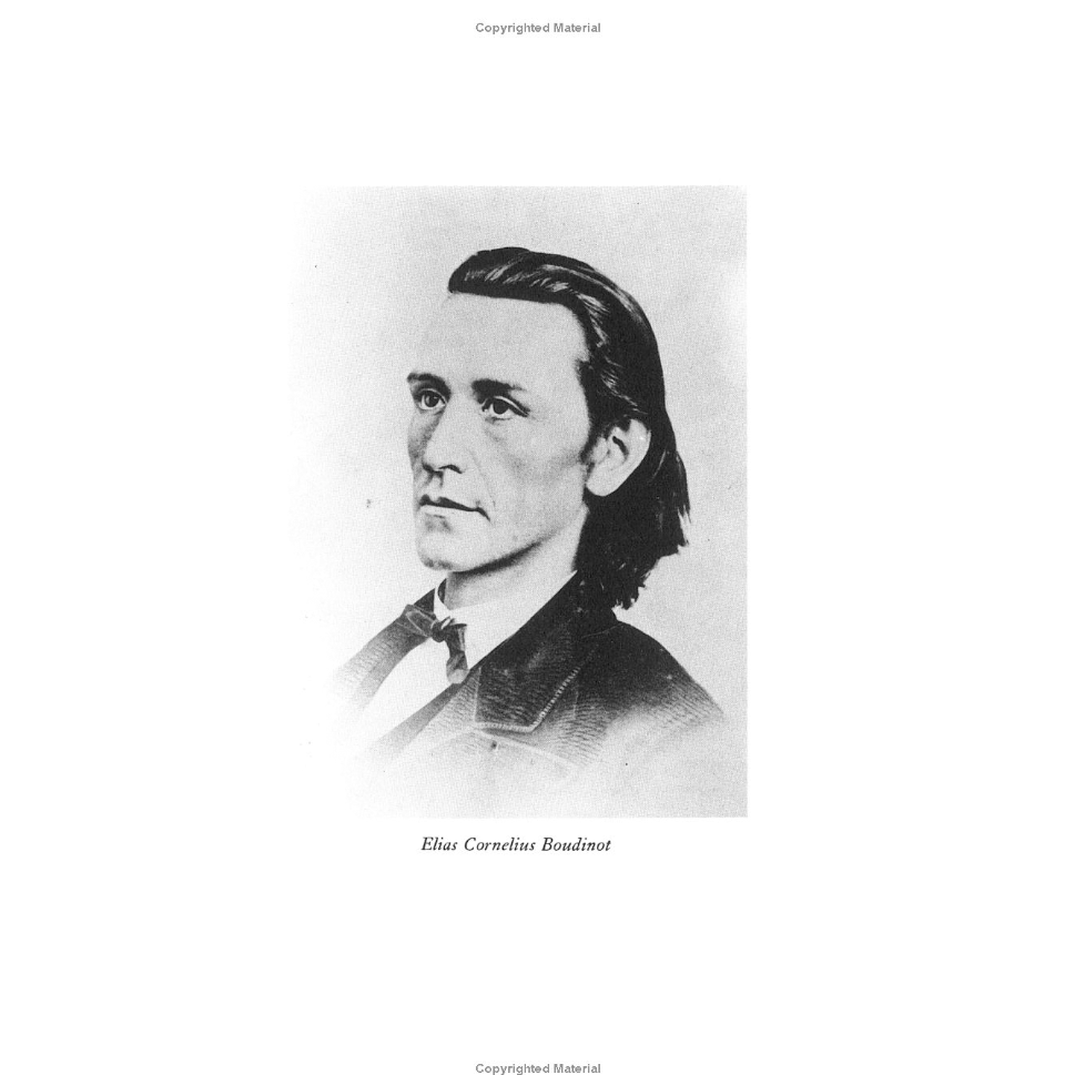 Cherokee Cavaliers by Edward Everett Dale and Gaston Litton