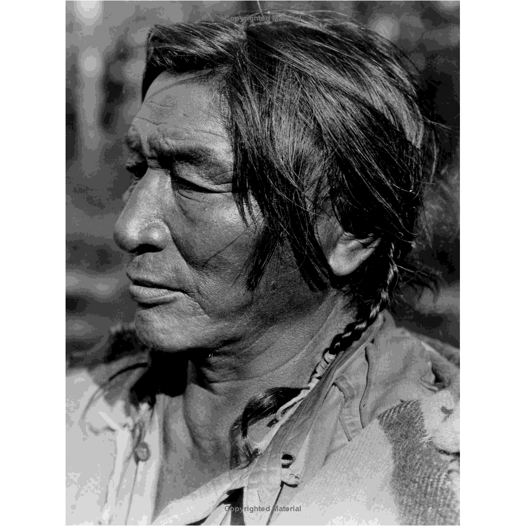 Edward S. Curtis Portraits: The Many Faces of the Native Americans by Wayne L. Youngblood