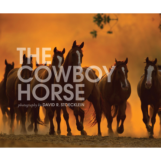 Cowboy Horse: Photography by David R. Stoecklein