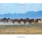 Wild Horses of the West by Jan Drake