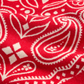 Pendleton Rodeo Spirit Blanket