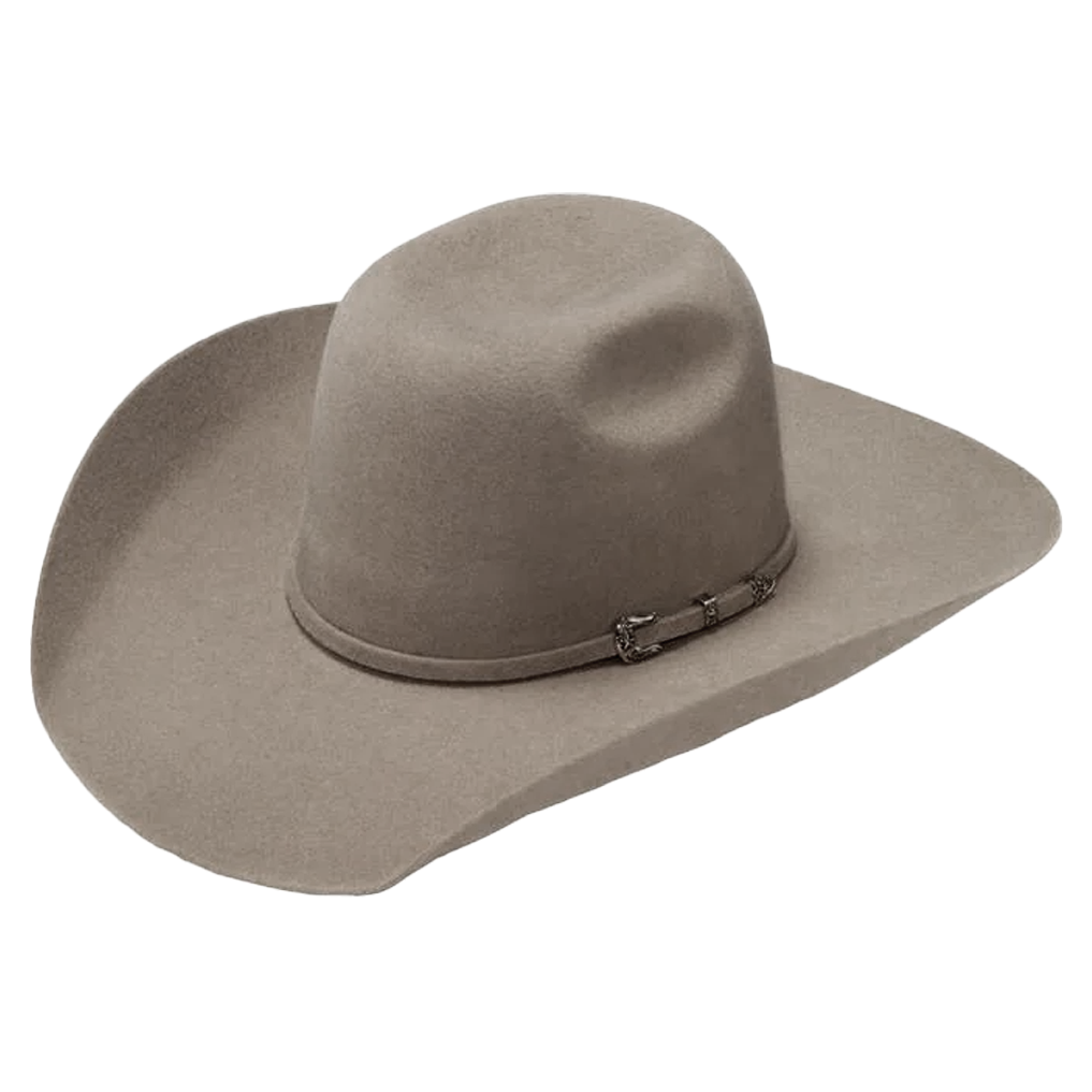 Twister Men's Austin Silverbelly Wool 2X Cowboy Hat