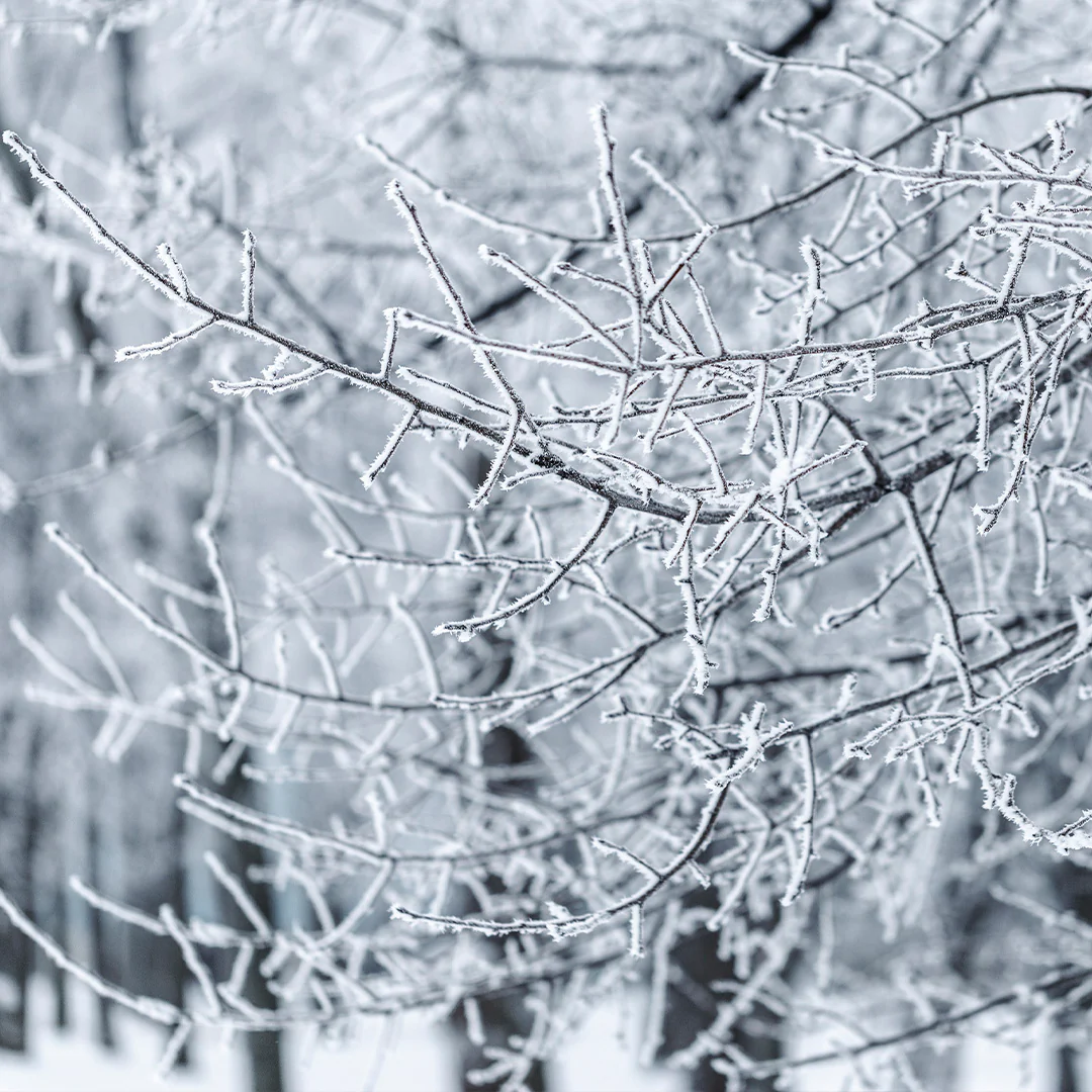 Archipelago Winter Frost Mantel Candle