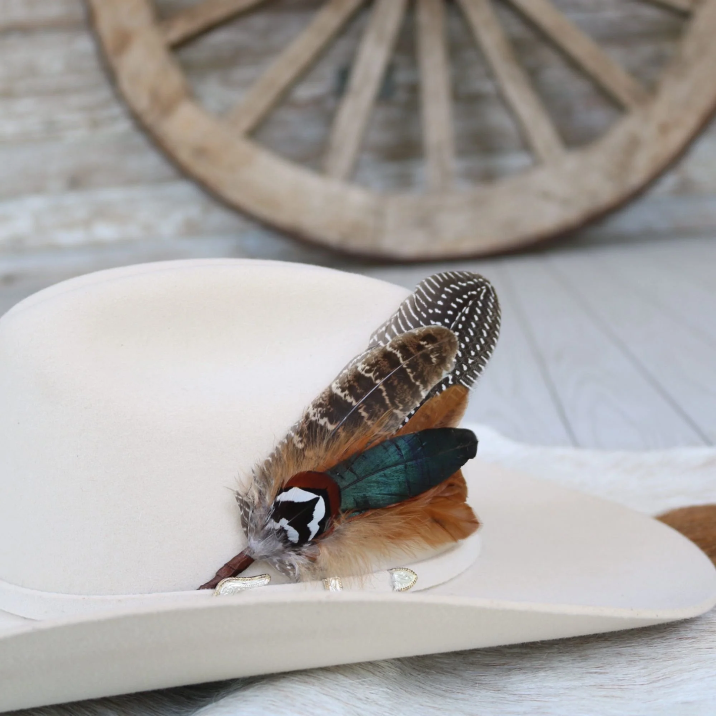 Feather Hat Accent - Terlingua