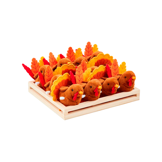 Wind-Up Turkey Toy