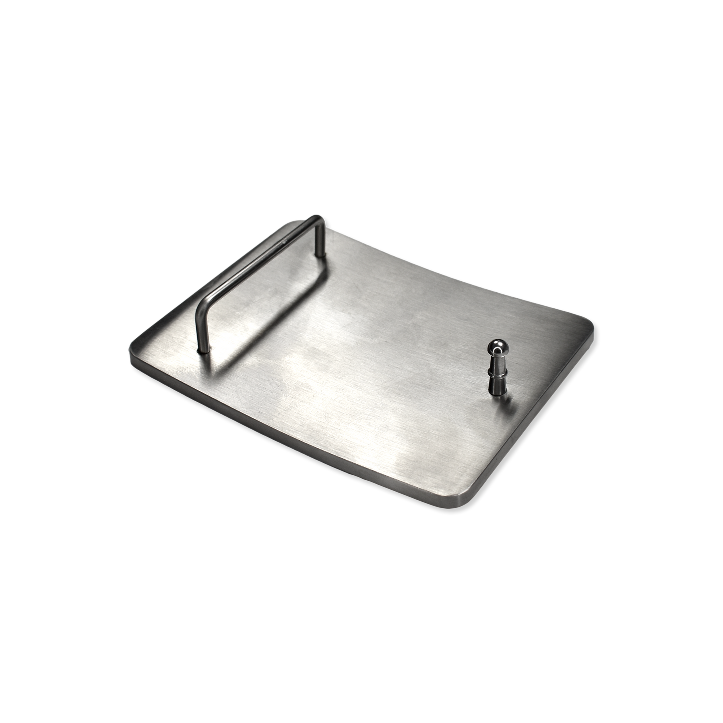 Buffalo Belt Buckle by William Haskell