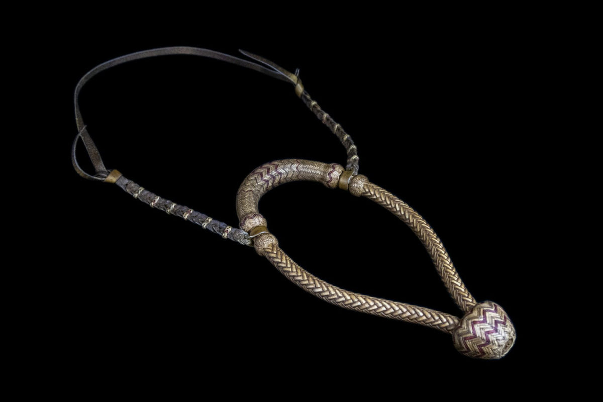 Hackamore - #3