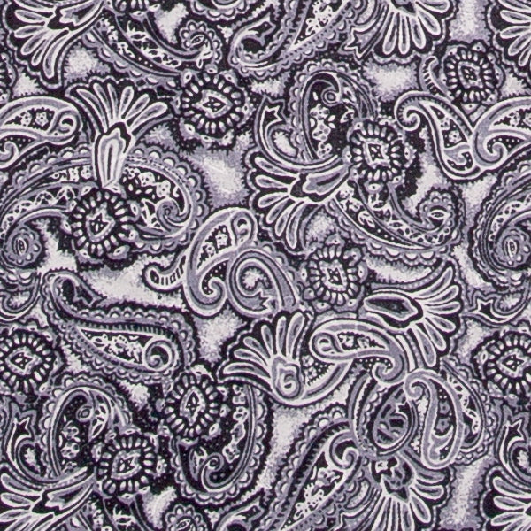 Silver and Smoke Paisley Jacquard Silk Wild Rag - 34.5"