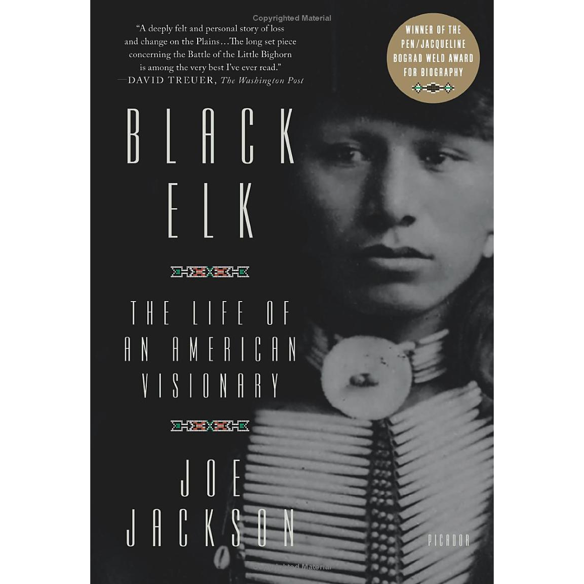 Black Elk: The Life of an American Visionary by Joe Jackson