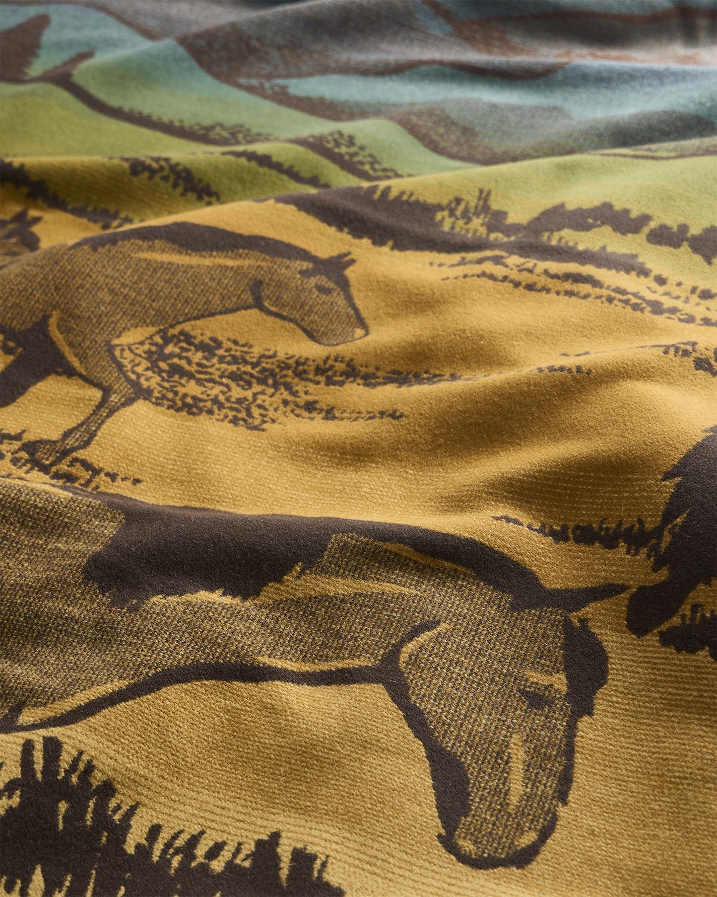 Pendleton Shadow Mountain Blanket