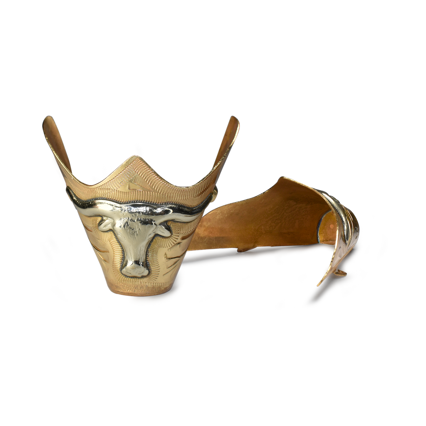 Gold Cowboy Boot Toe Cap with Longhorn - Pair