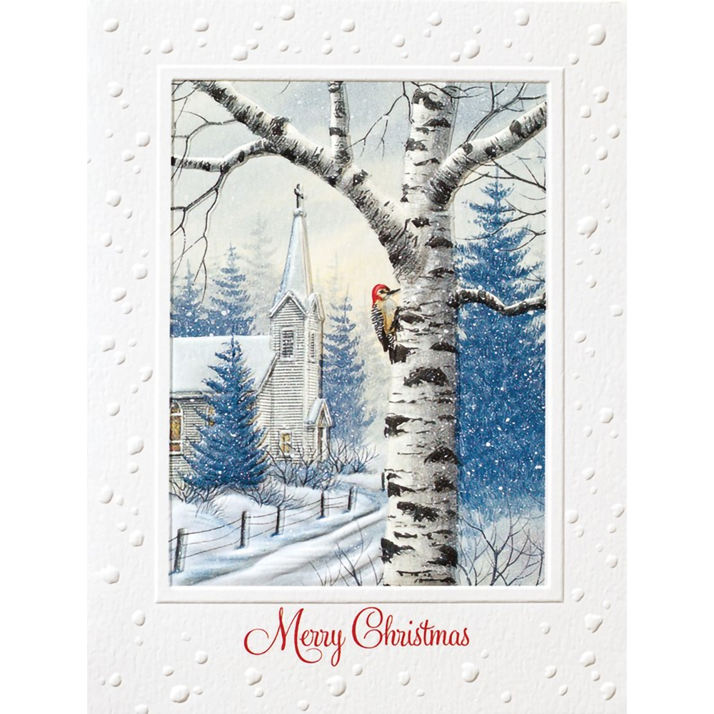 Sanctuary Lane Christmas Cards - Box of 10