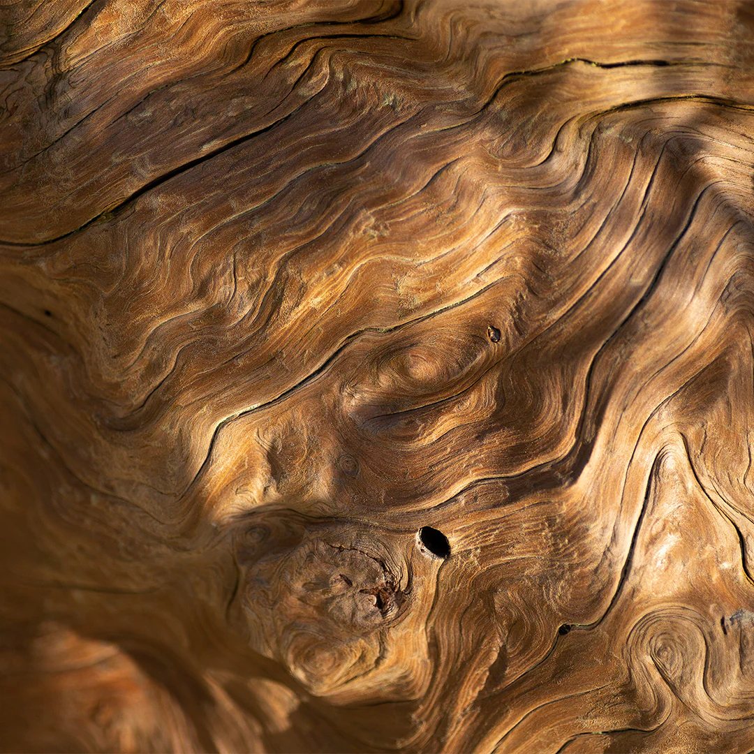 Archipelago Maison de Noël Reed Diffuser