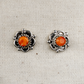 Orange Spiny Oyster Decorative Flower Stud Earrings