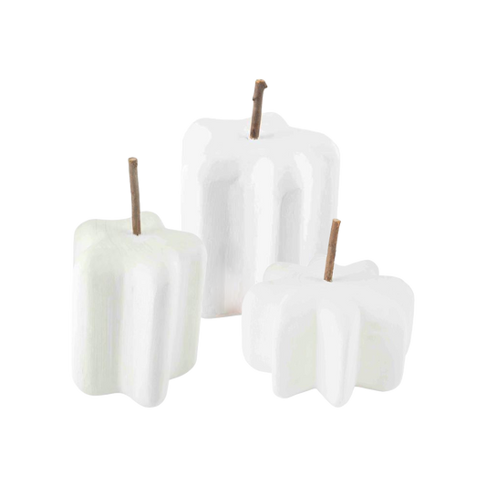 White Paulownia Pumpkin
