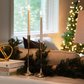 Archipelago Winter Frost Taper Candle Set