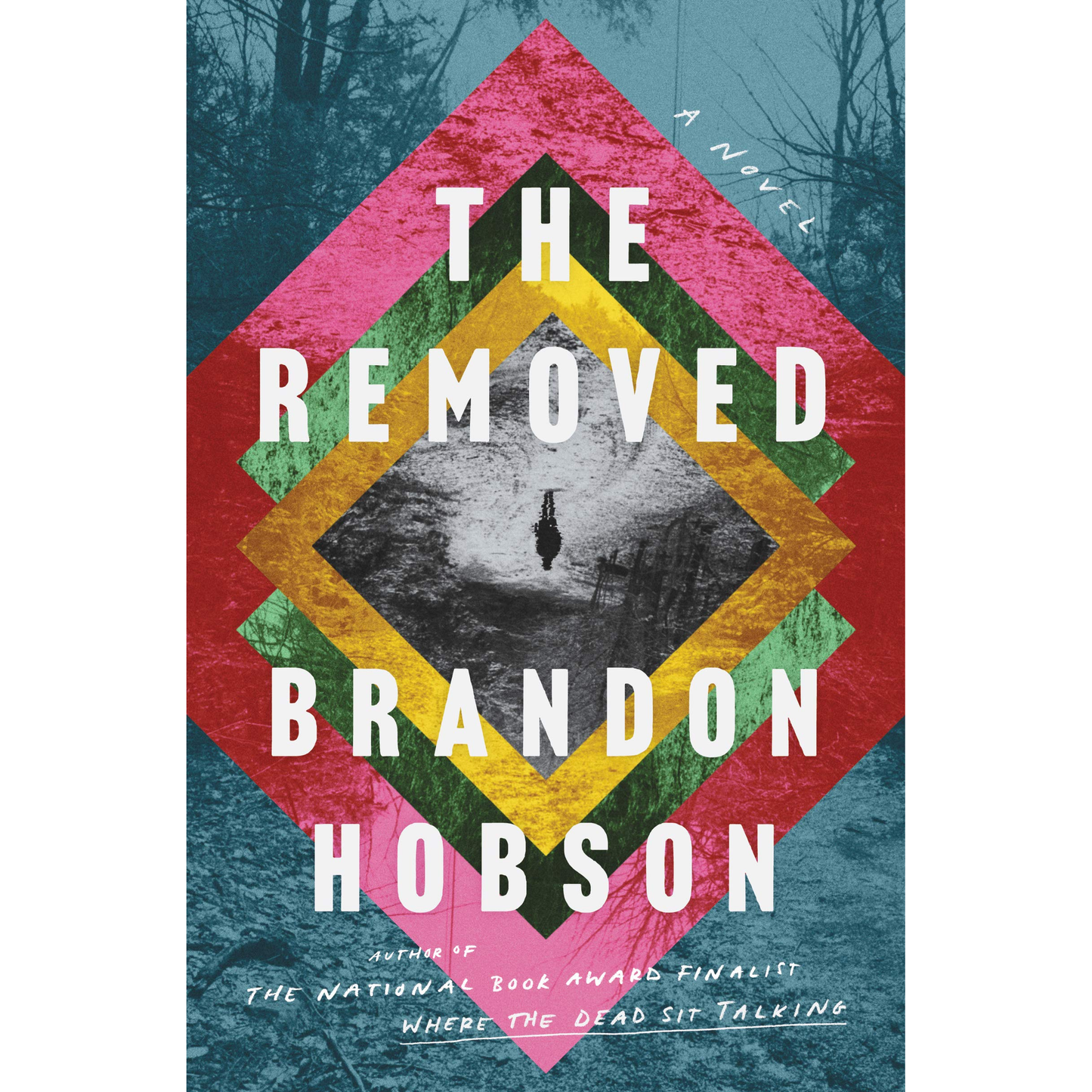 The Removed by Brandon Hobson - WHA Winner 2022