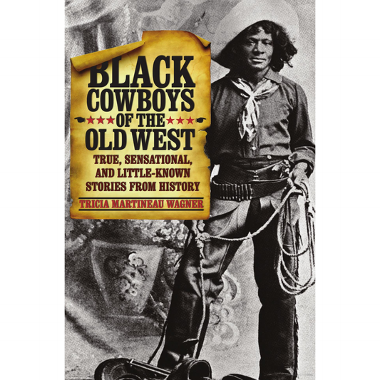 Black Cowboys of the Old West: True, Sensational, And Little-Known Stories From History by Tricia Martineau Wagner