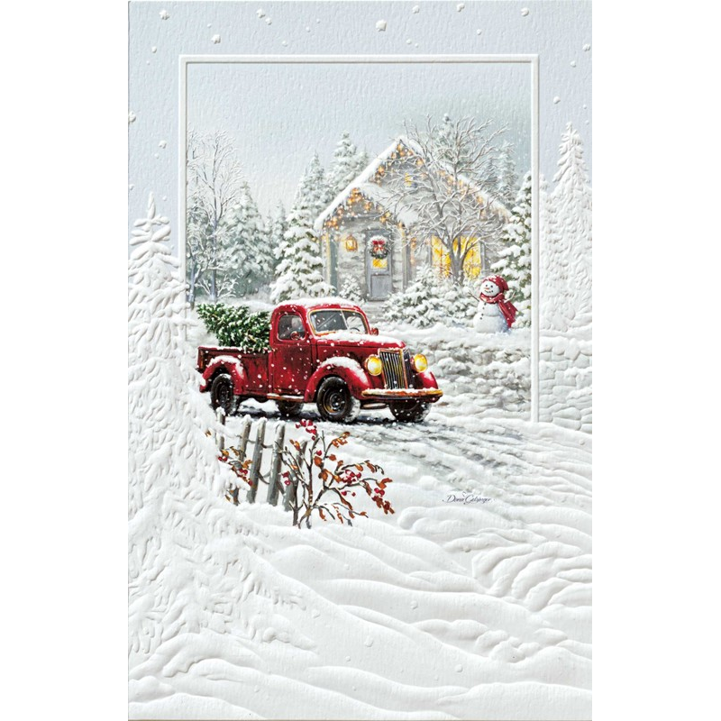 Special Christmas Delivery Christmas Cards - Box of 16