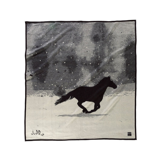 Pendleton A Horse Called Paint Blanket