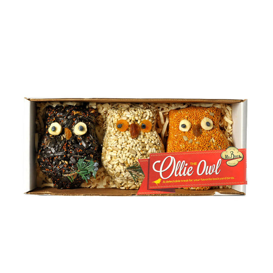 Ollie Owl 3pack Bird Seed Set